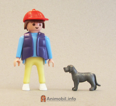 Great Dane Puppy Grey