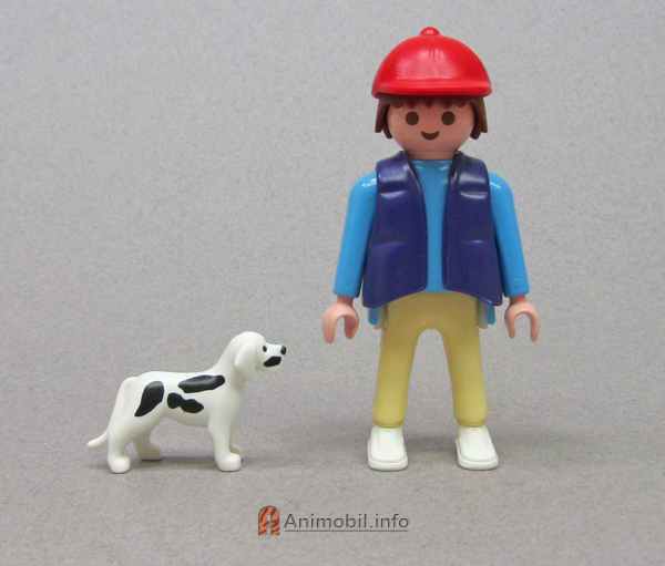 Great Dane Puppy White