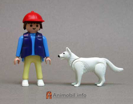 German Shepherd 1 White