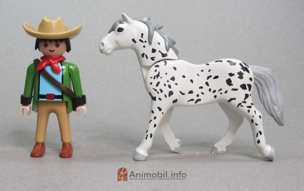 Knabstrupper Sparkles