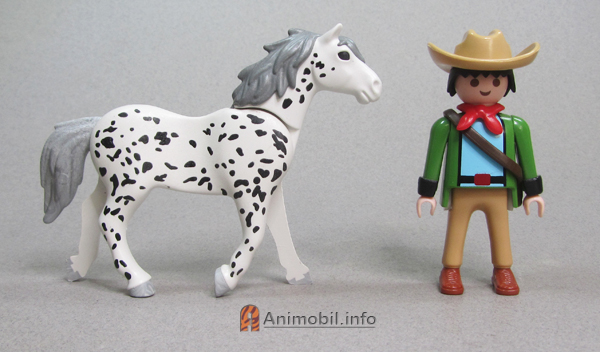 Knabstrupper Sparkles