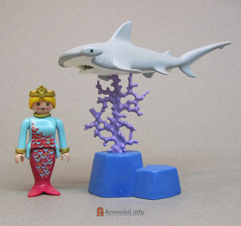Hammerhead Shark