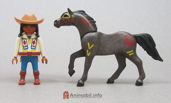 Horse Arabian Black Indian Paint