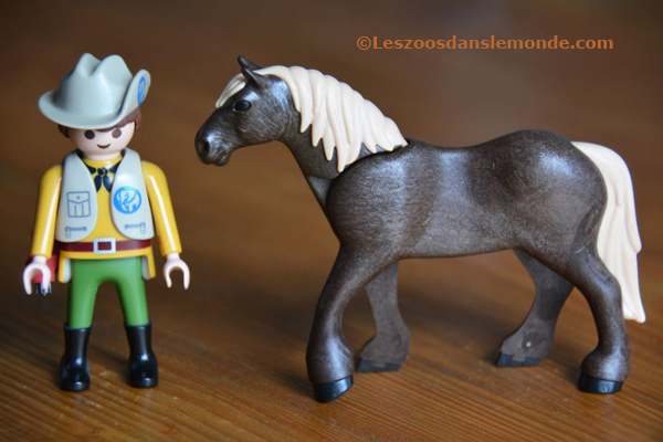 Horse Noriker