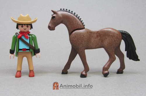 Sporthorse Brown