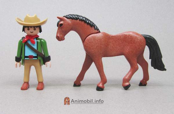 Horse Trakehner Brown with Blaze