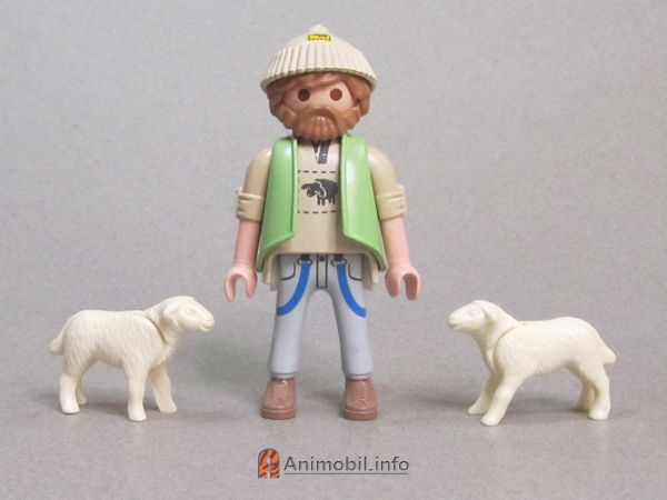 Sheep Lamb