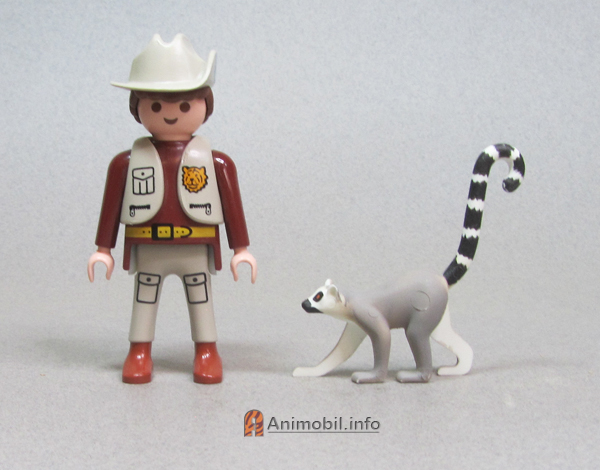 Ring-Tailed Lemur Walking