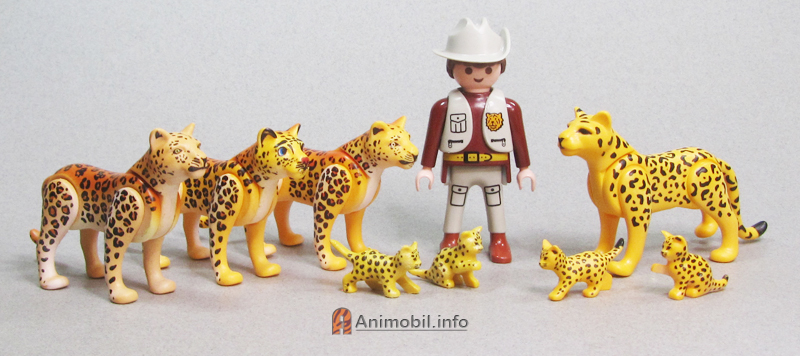 Leopards and Jaguar