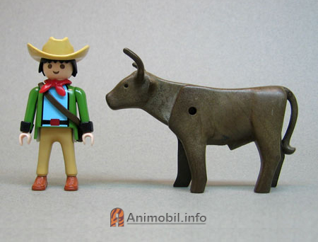Bull Longhorn Dark Brown