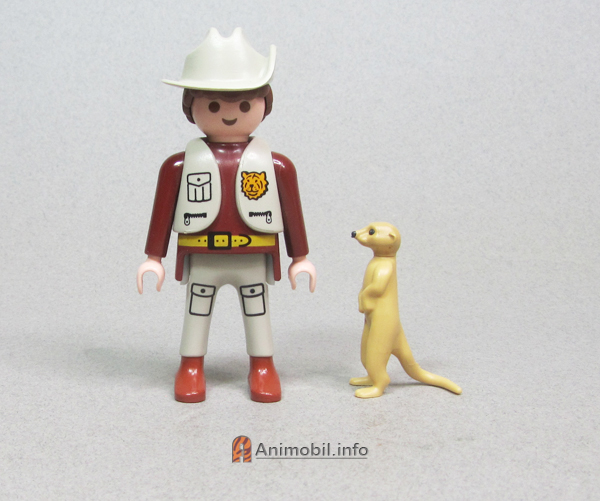 Meerkat Standing 2