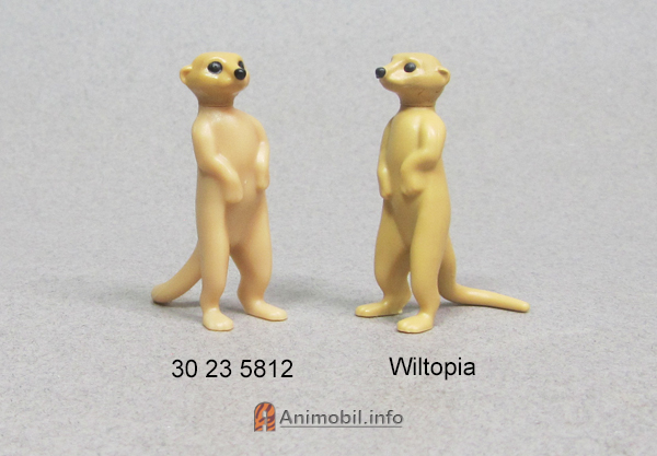 Meerkat Standing 2