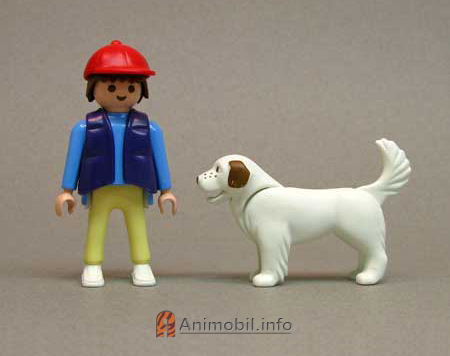  Newfoundland 2 White with Tan Ears