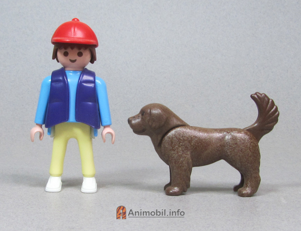 Newfoundland Brown 2