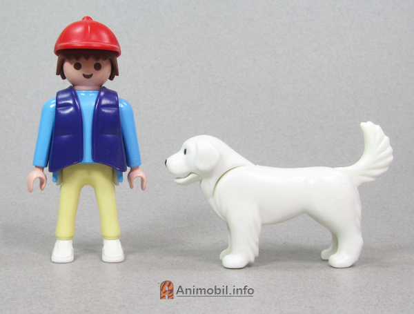 Newfoundland 2 White