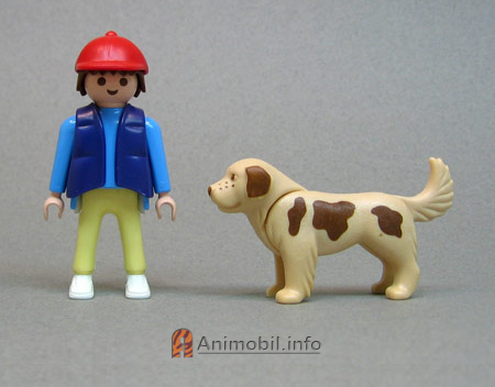 Dog Newfoundland Cream and Brown