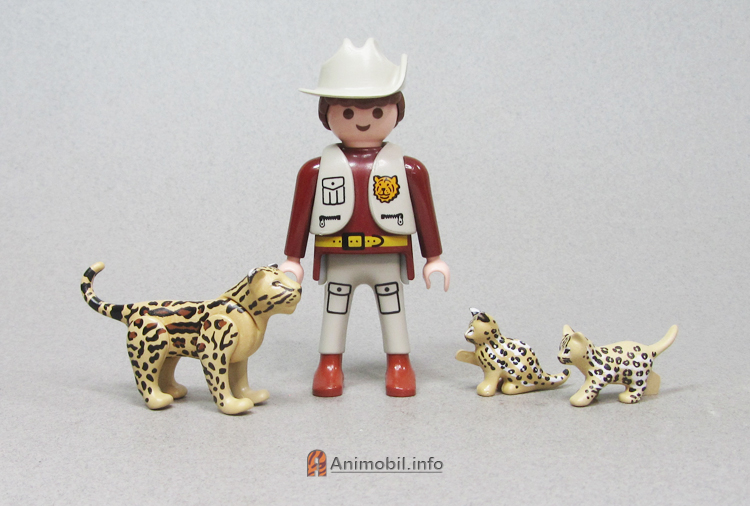 Ocelots