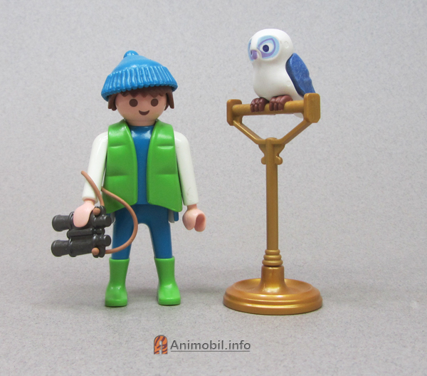 Owl Blue