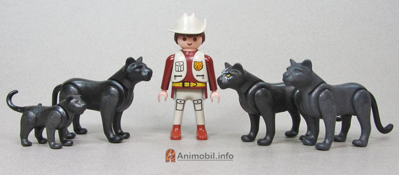 Panthers