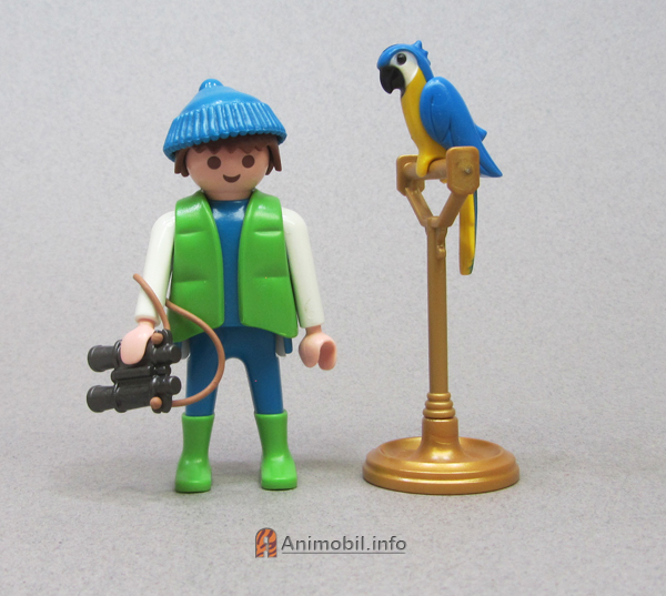 Parrot Blue Painted A