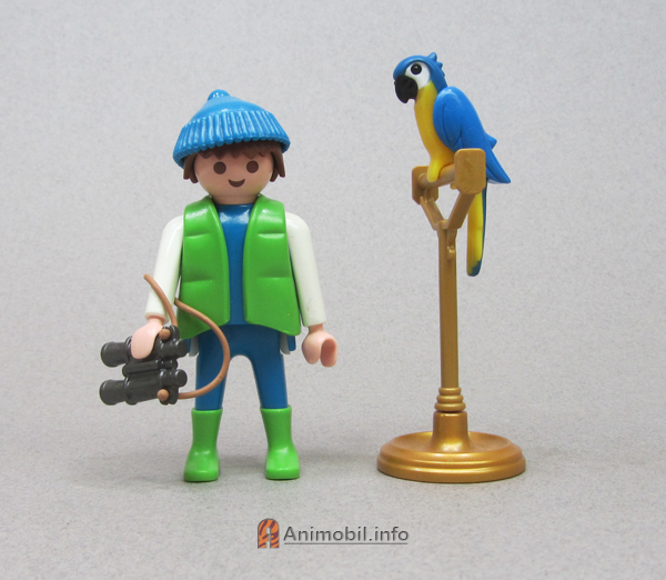 Parrot Blue Painted B