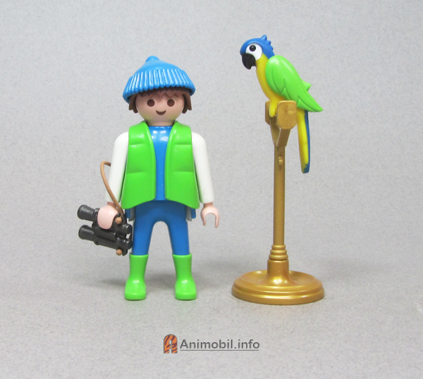 Parrot Blue Painted with Green Wings