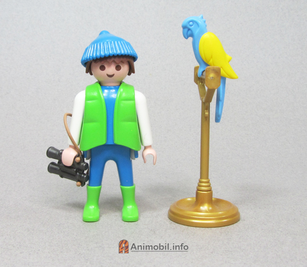 Parrot Blue with Yellow