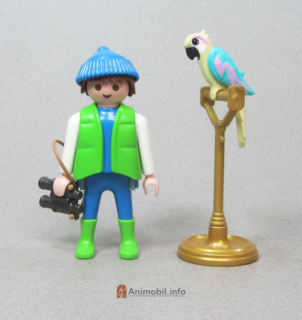 Parrot Cream and Teal