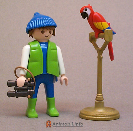 Parrot Red Painted 1