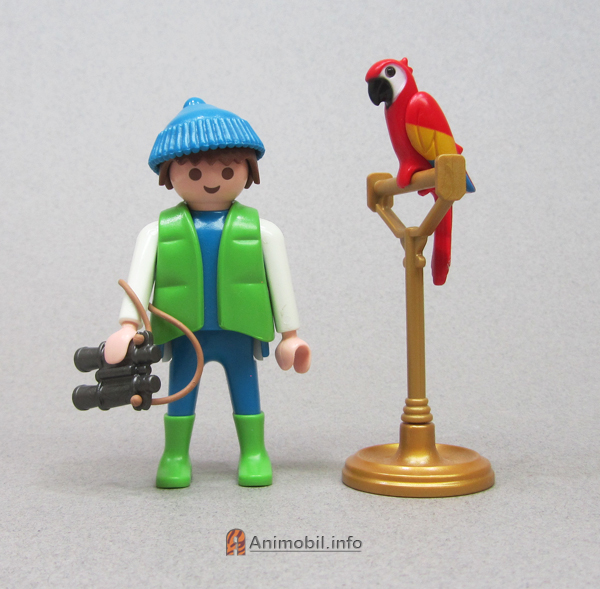 Parrot Red Painted 1 A