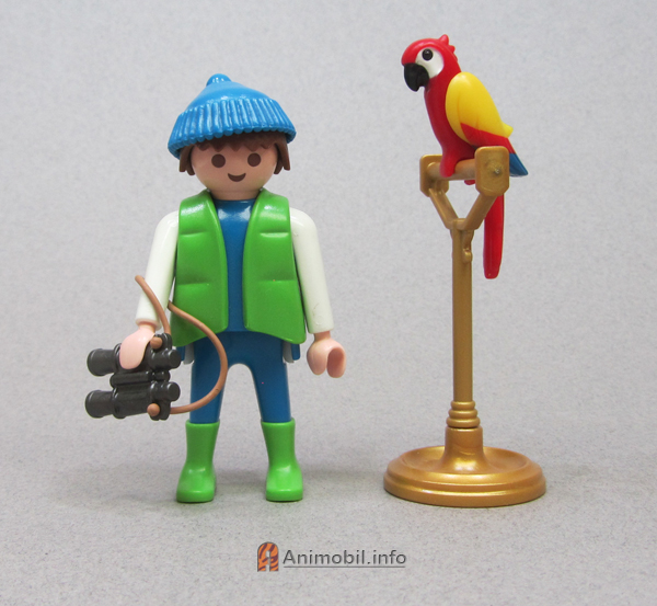 Parrot Red Painted 2 B