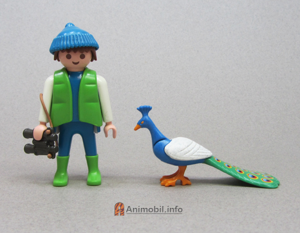 Peacock Tail Down Light Wings