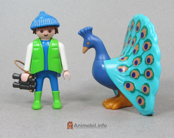 Peacock McDonalds