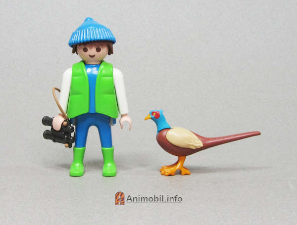 Pheasant 2