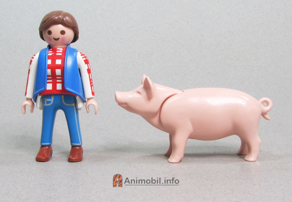 Pig 3