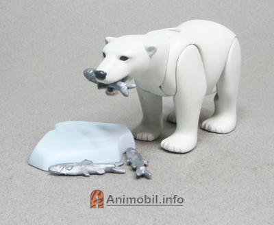 Polar Bear 4