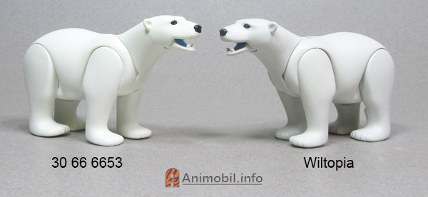 Polar Bear 4