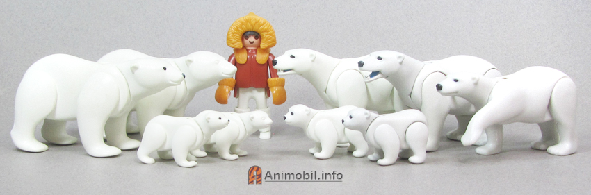 Polar Bears
