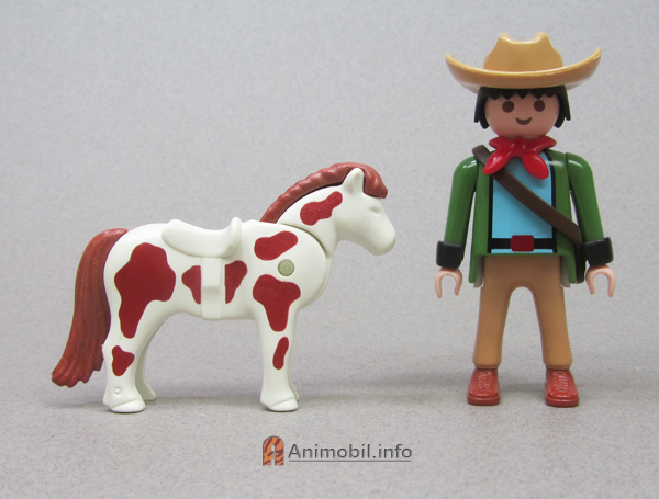 Pony White Chestnut Spotted