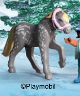 Pony 4 Grey with Spots 3