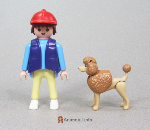 Poodle Tan with Brown
