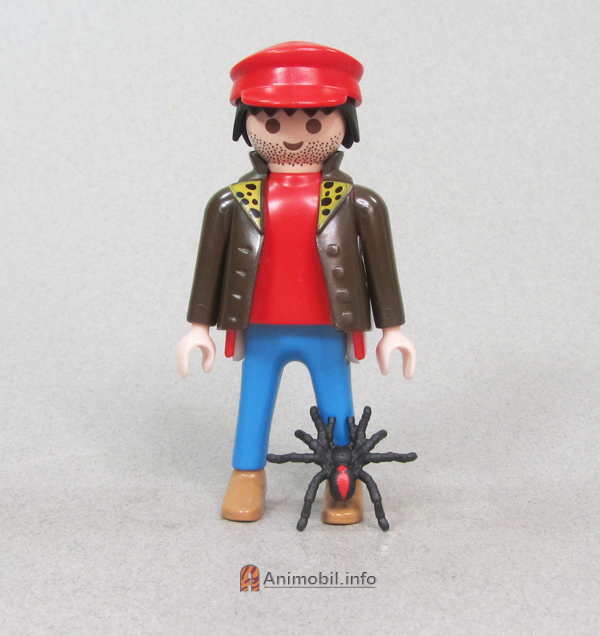 Redback Spider