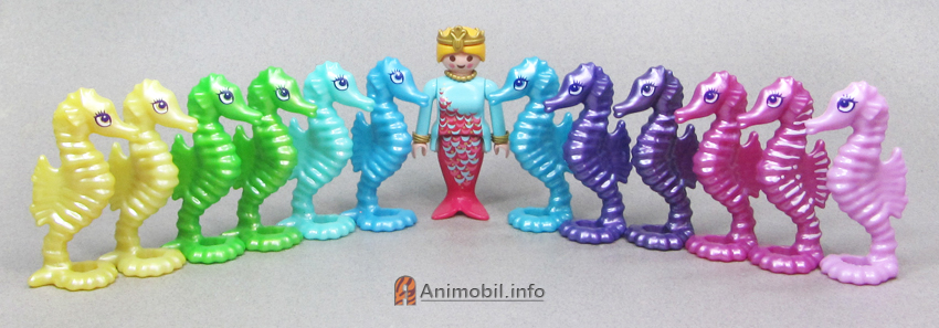 Seahorses