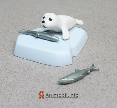 Seal Baby White 2