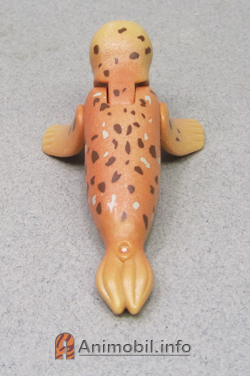 Seal Brown Spotted