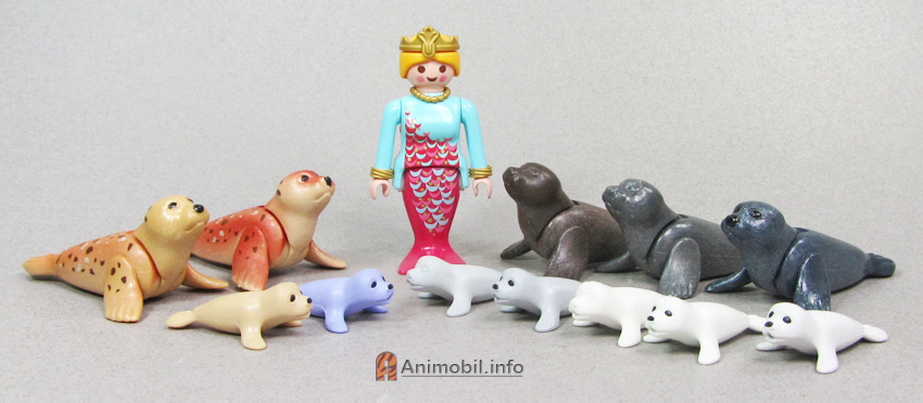 Seals
