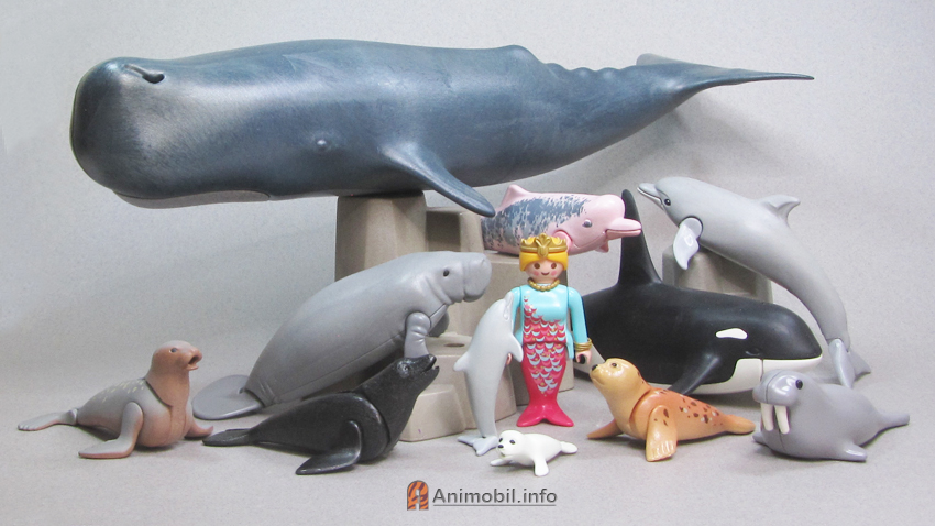 Sea Mammals