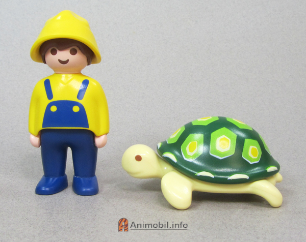 Sea Turtle 123 Green