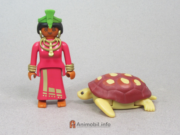 Sea Turtle McDonalds 2