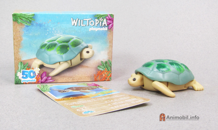 Sea Turtle McDonalds